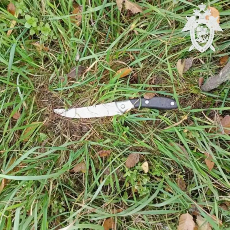🔪 «Выпили — поссорились»: в Благодарненском округе за кровавую кухонную ссору дали 9 лет…