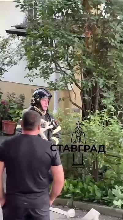 🙏А вот и спасенный