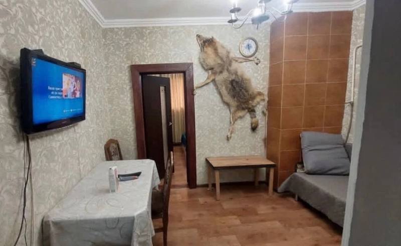 😂 Женщина искала жилье в Пятигорске, однако обнаружила уникальную квартиру