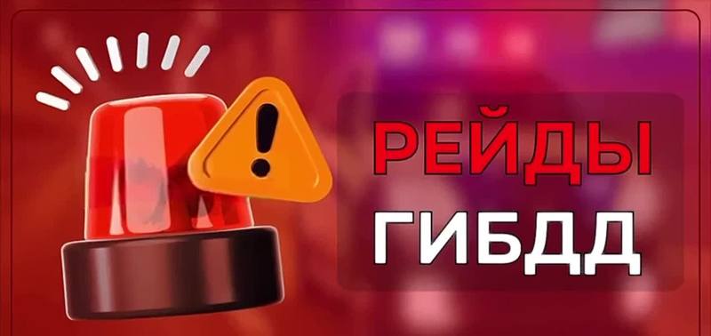 📊Рейды ГИБДД в Ставропольском крае на август