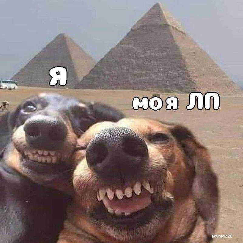 🫶Сегодня — День подруг