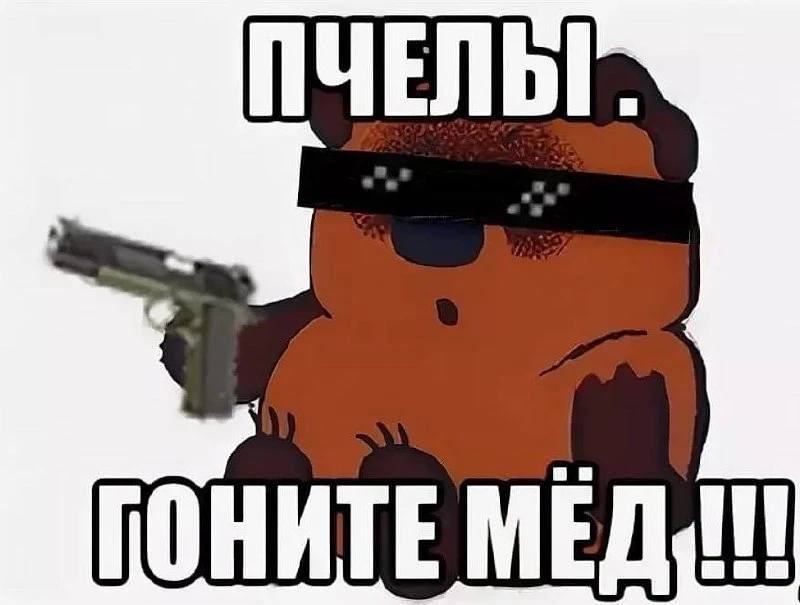 😅 Тренды вышли за грани реальности