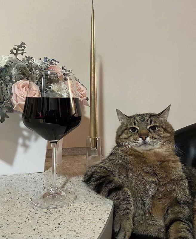 🍷Сегодня — День красного вина
