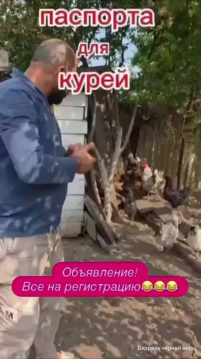 ​☺Куриц потащили россияне в МФЦ, чтобы легализовать их перед государством