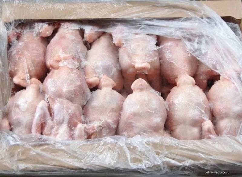 ​👀Сальмонеллу нашли в ставропольской курице