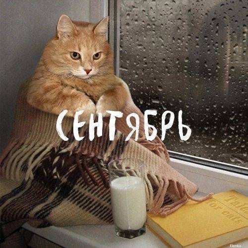 ​🥶Резкое похолодание идет на Ставрополье