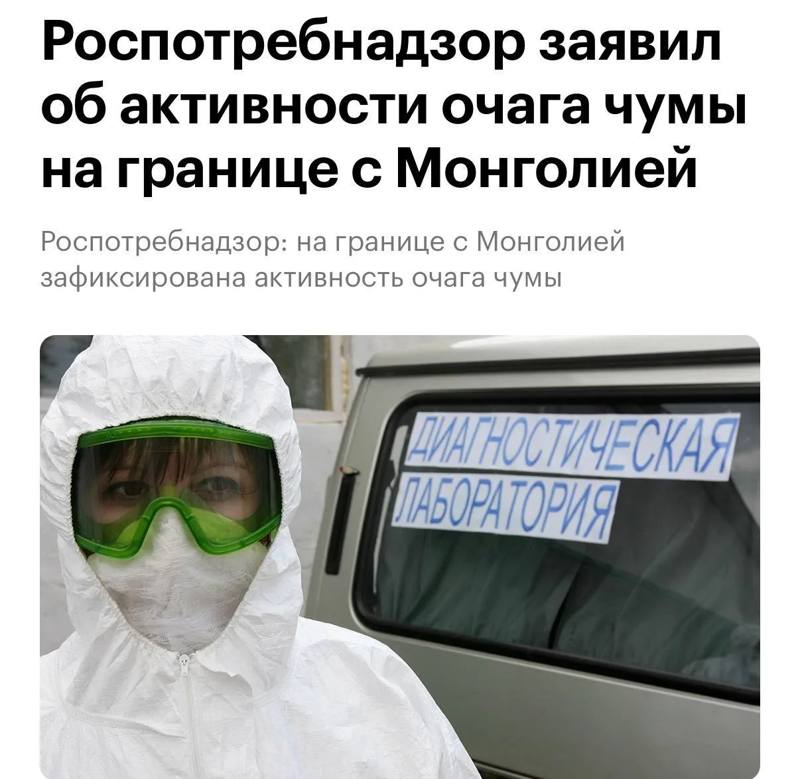 ​👀 Вспышка чумы зафиксирована на российско-монгольской границе