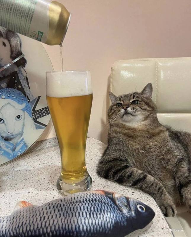 ​🍺Понедельник отменяется по техническим причинам: сегодня День любителей пива