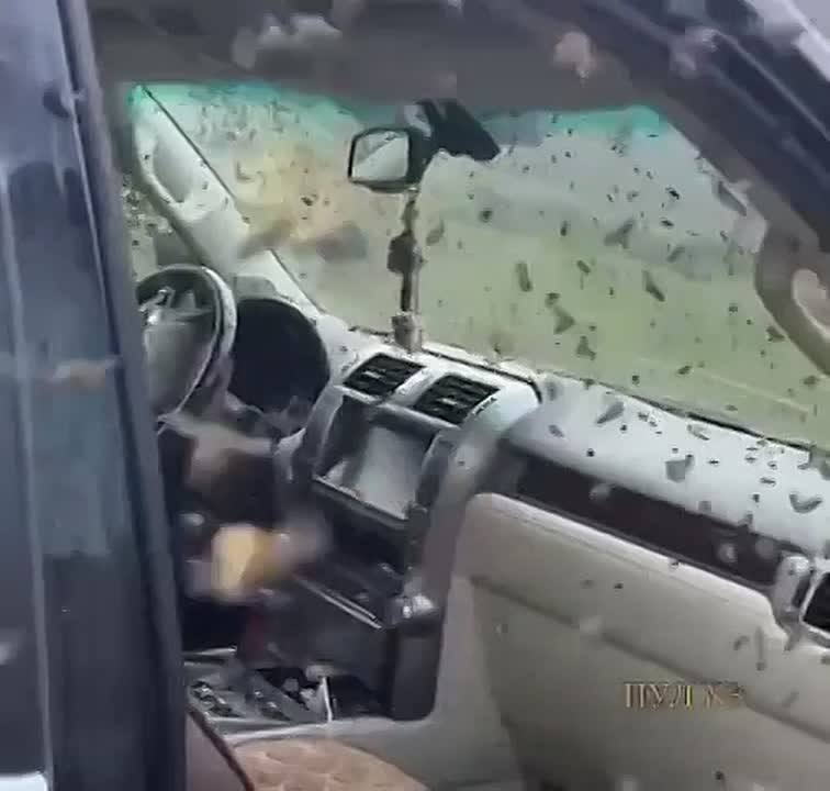 😱Настоящий пчелиный десант высадился на машину в Дагестане!