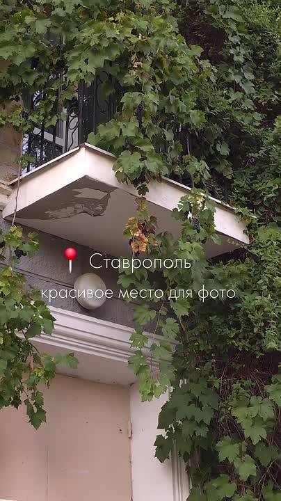 😍Красивую локацию для фотосессий нашли на Морозова, 1а