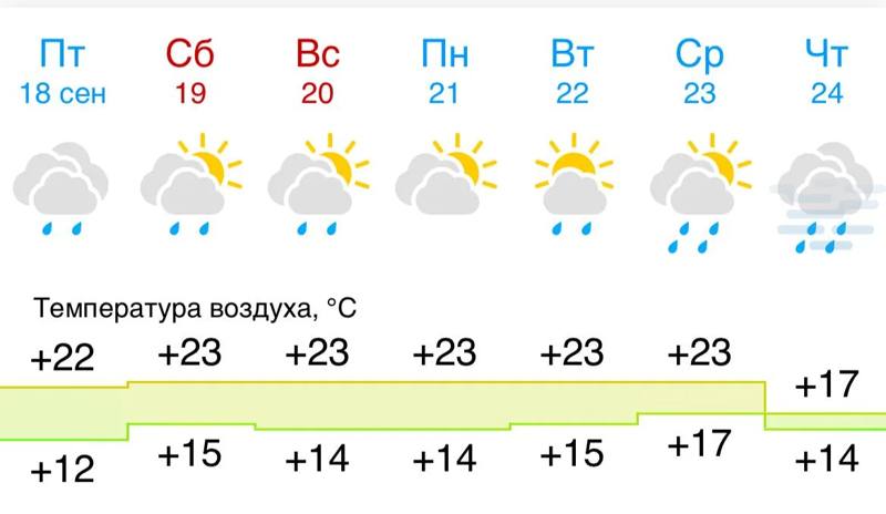 ​☔Зонт — лучший друг для вас в ближайшую неделю