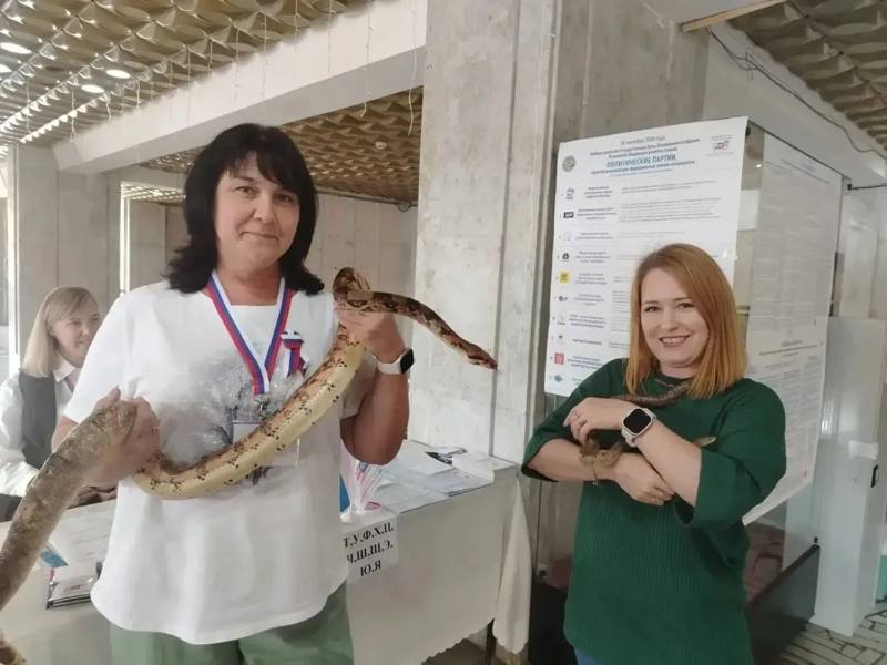 ​🐍 Необычный дуэт заметили на избирательном участке Северной Осетии
