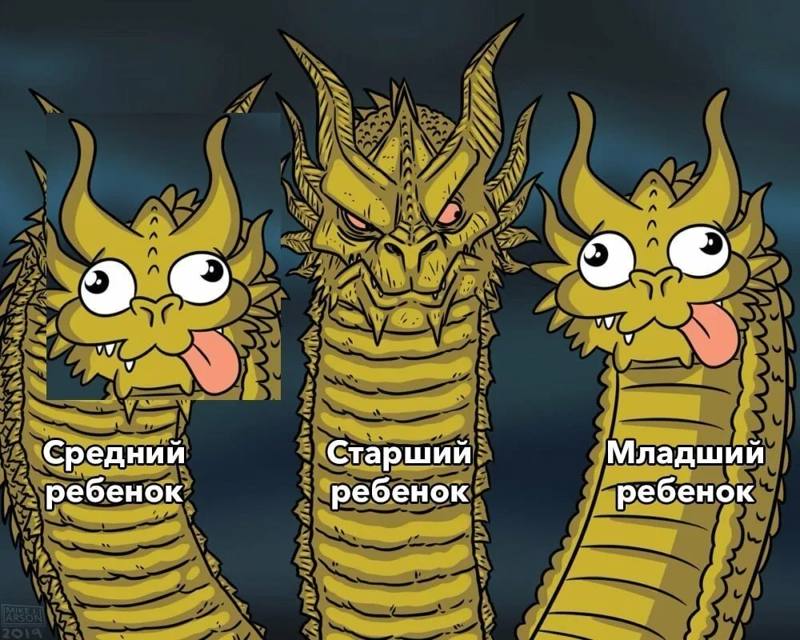 ​❓ У первенцев IQ в среднем выше, чем у младших детей — исследование