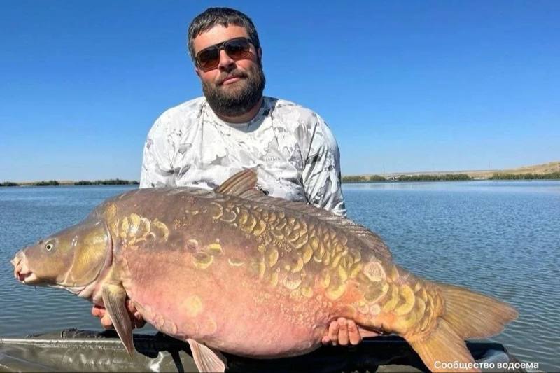 🐟Огромного карпа выловили в ставропольском селе Просянка