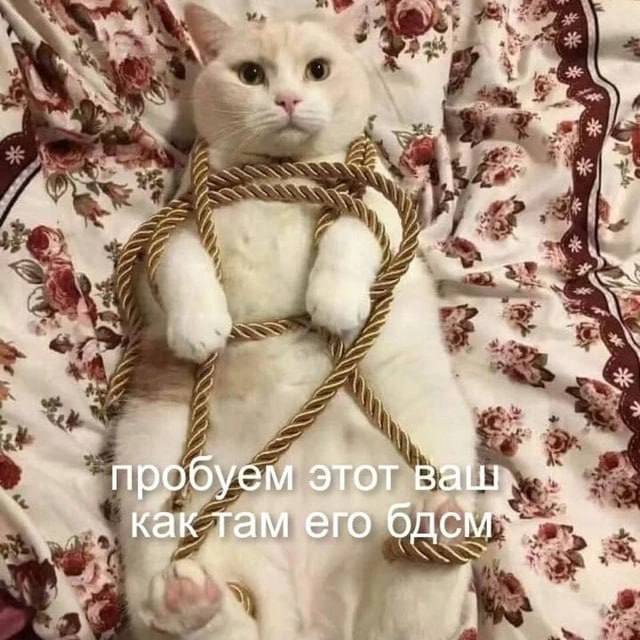 ​🗞 БДСМ и фетишизм включили в рекомендации Минздрава по лечению сексуальных расстройств