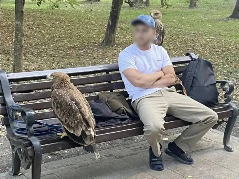 ​😱 Орлов забрали у уличных фотографов в Ессентуках