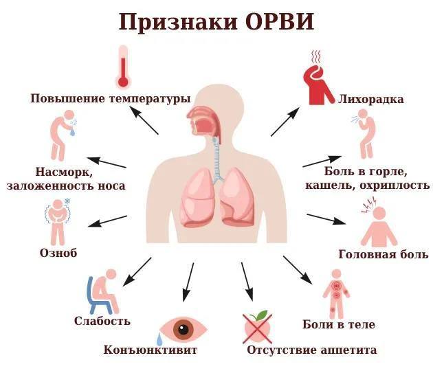 Сезон ОРВИ начался