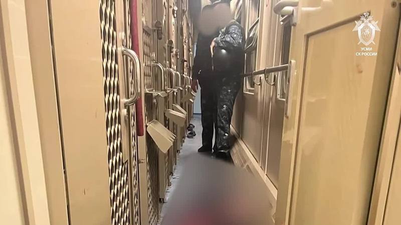 Сотрудника ФСИН убил заключеный в поезде Владикавказ — Адлер в КБР