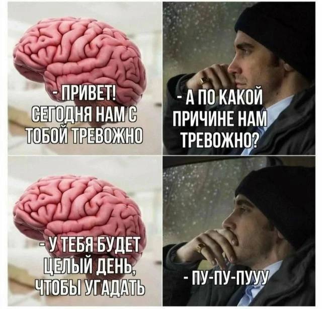 Специалисты говорят, тревожные люди — самые умные