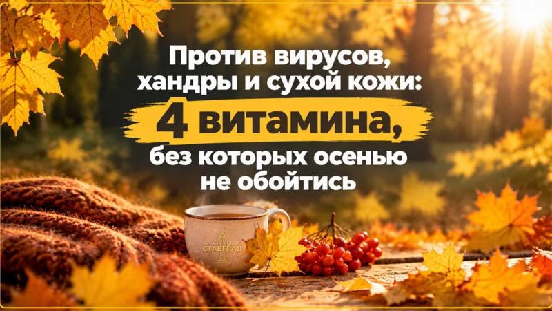 Готовим иммунитет к зиме: 4 элемента, без которых осенью не обойтись