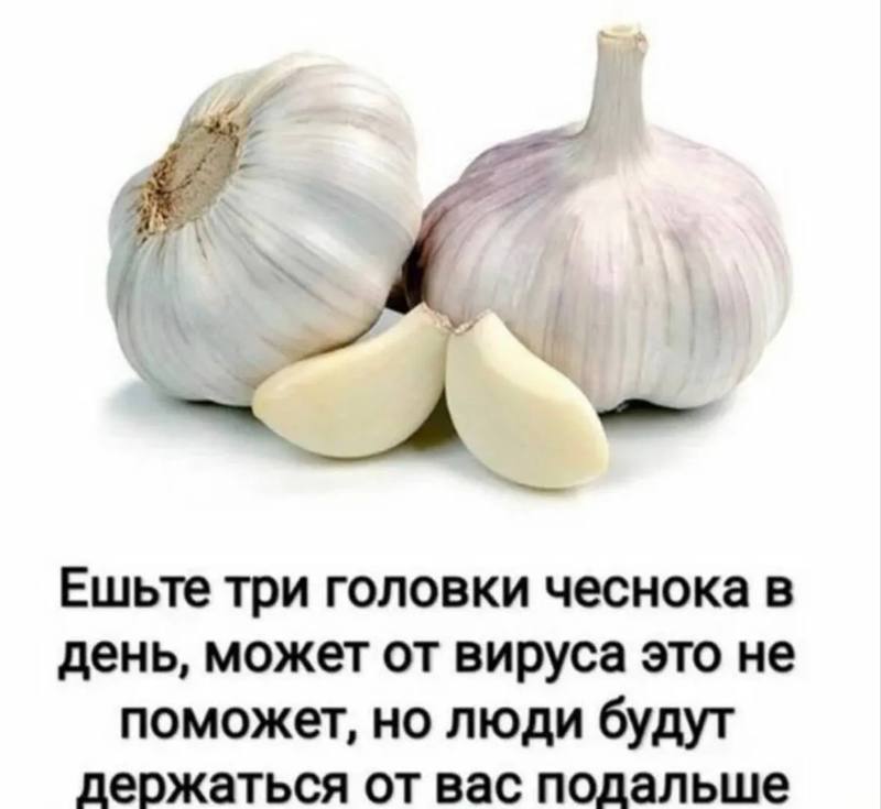 Сегодня — День любителей чеснока