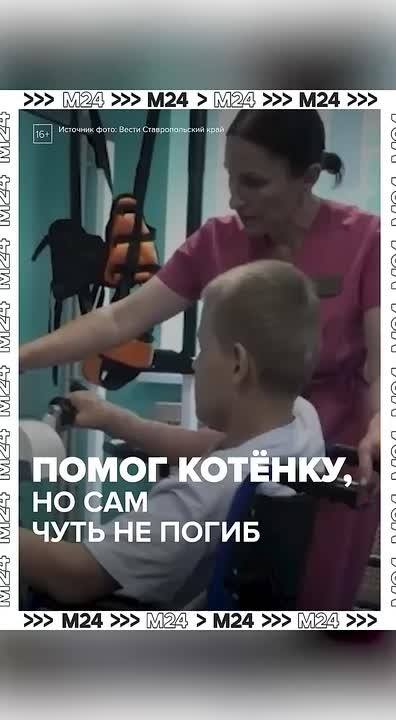 Цена спасенной жизни: 11-летний мальчик попал под грузовик, спасая котенка в Графском
