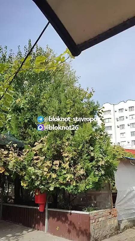 Сирены слышны в центре Ставрополя