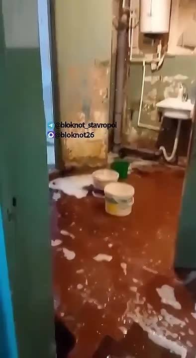 Три года под дождём: жильцы на Батакской борются с безразличием