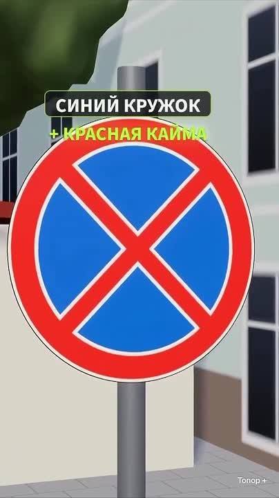 Рынок автошкол только что обанкротился