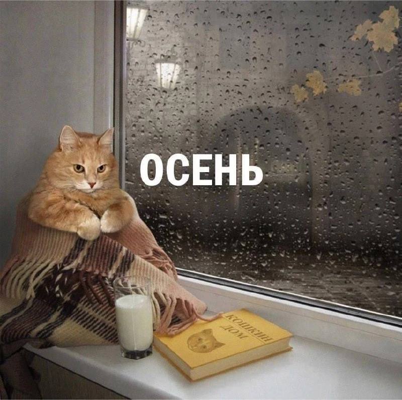 Под девизом «из лета в осень за 24 часа» пройдут выходные в крае