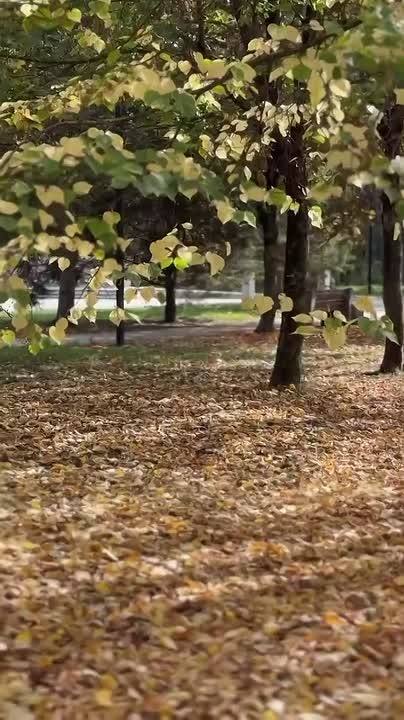 Осенняя красота окутала Ставрополье