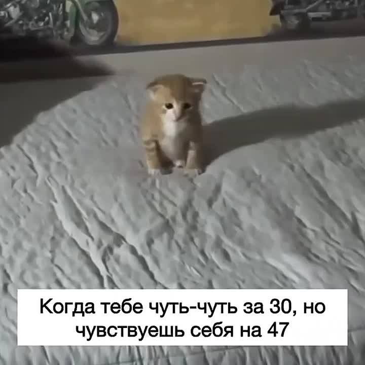 Учёные назвали самый несчастливый возраст