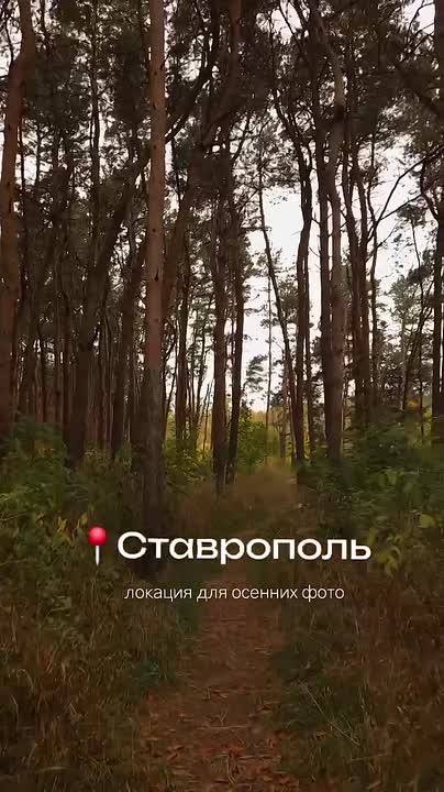 Когда осень берет в руки кисть, она приходит именно сюда