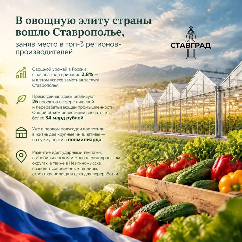 В овощную элиту страны вошло Ставрополье, заняв место в топ-3 регионов-производителей