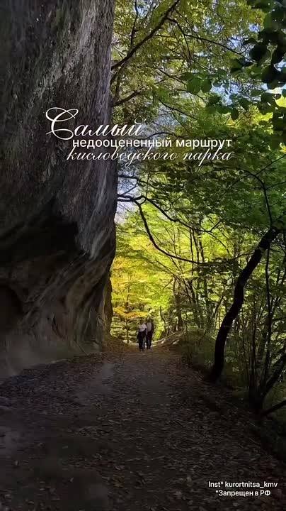 Добро пожаловать в дикий Кисловодск