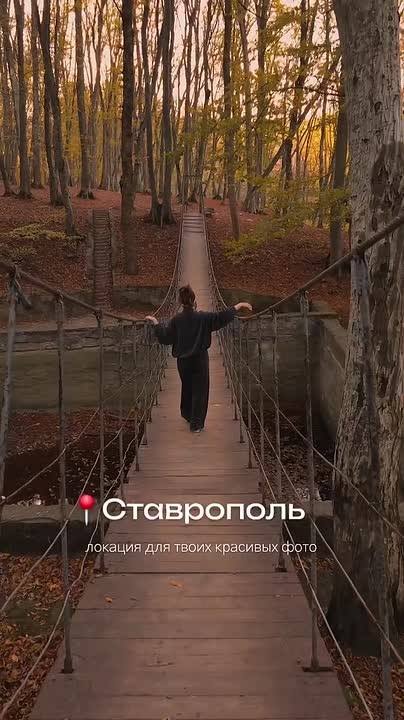 Осень в Ставрополе не нужно искать — она живет в Таманском лесу